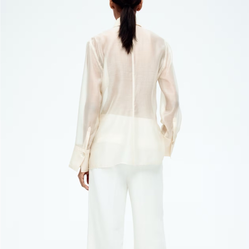 H&M Button Down Sheer Shirt - Picture 8 of 9